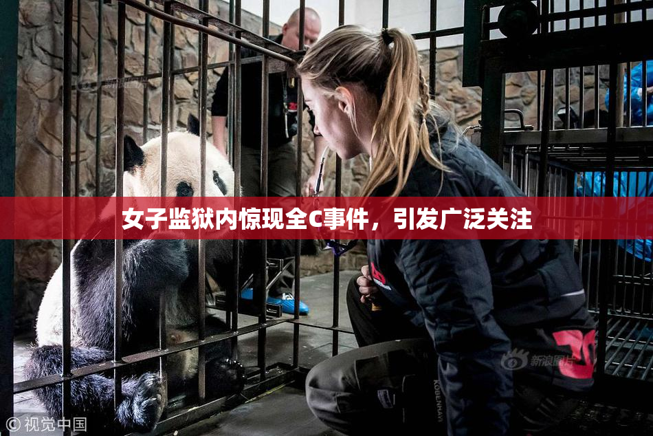 女子监狱内惊现全C事件，引发广泛关注