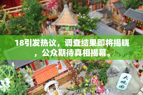 18引发热议，调查结果即将揭晓，公众期待真相揭幕。