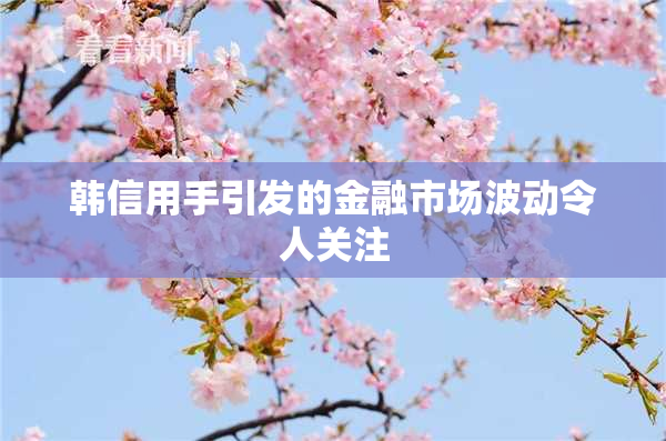 韩信用手引发的金融市场波动令人关注