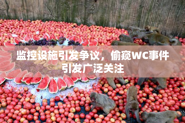 监控设施引发争议，偷窥WC事件引发广泛关注