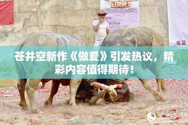 苍井空新作《做爰》引发热议，精彩内容值得期待！