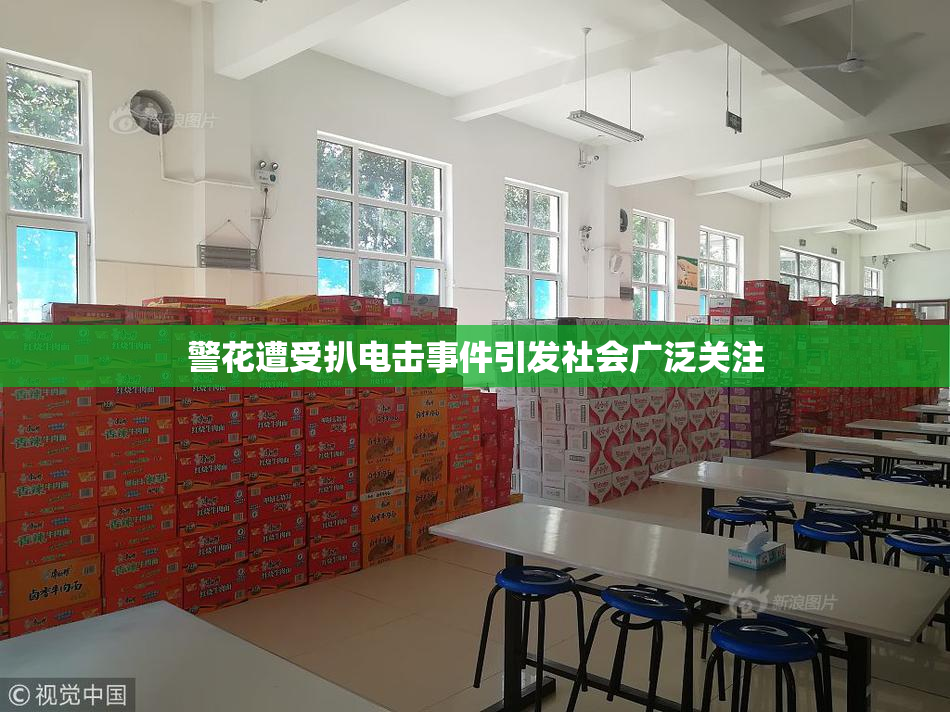 警花遭受扒电击事件引发社会广泛关注