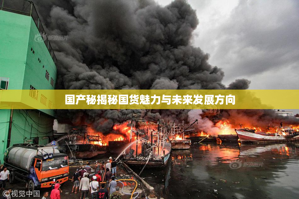 国产秘揭秘国货魅力与未来发展方向