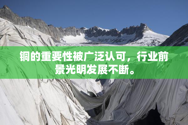 铜的重要性被广泛认可，行业前景光明发展不断。