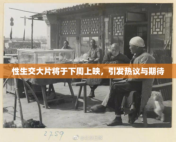 性生交大片将于下周上映，引发热议与期待