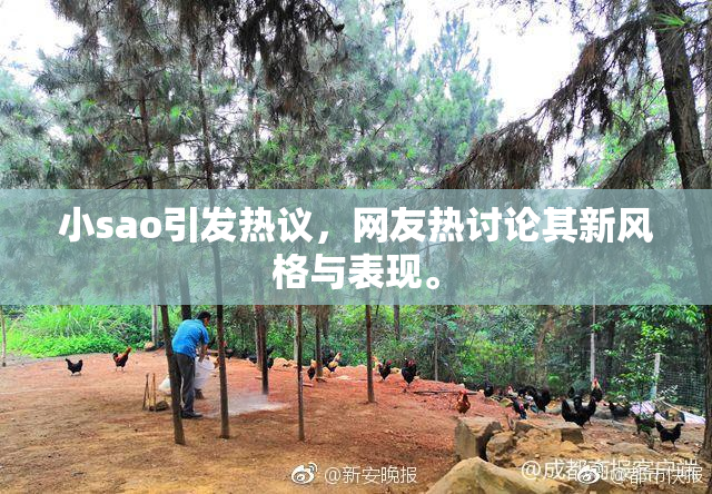 小sao引发热议，网友热讨论其新风格与表现。