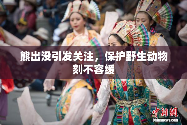 熊出没引发关注，保护野生动物刻不容缓