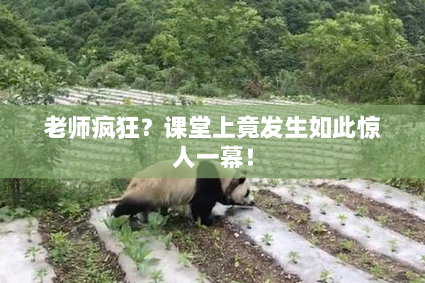 老师疯狂？课堂上竟发生如此惊人一幕！