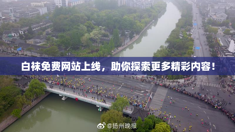 白袜免费网站上线，助你探索更多精彩内容！