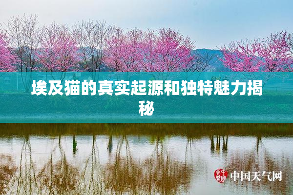 埃及猫的真实起源和独特魅力揭秘