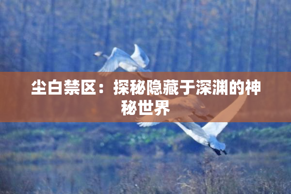 尘白禁区：探秘隐藏于深渊的神秘世界