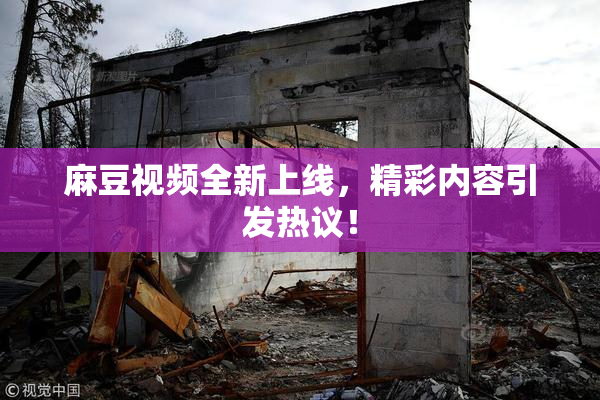 麻豆视频全新上线，精彩内容引发热议！