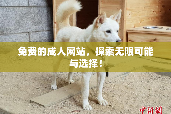 免费的成人网站，探索无限可能与选择！
