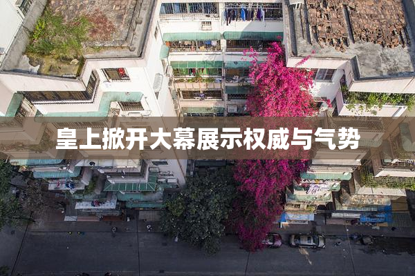 皇上掀开大幕展示权威与气势