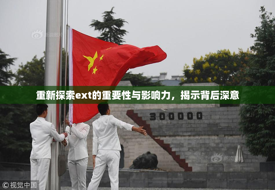 重新探索ext的重要性与影响力，揭示背后深意