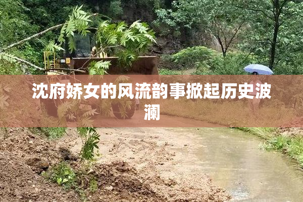 沈府娇女的风流韵事掀起历史波澜