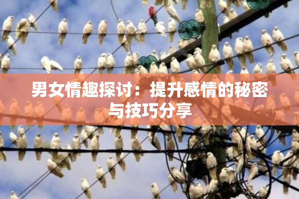 男女情趣探讨：提升感情的秘密与技巧分享