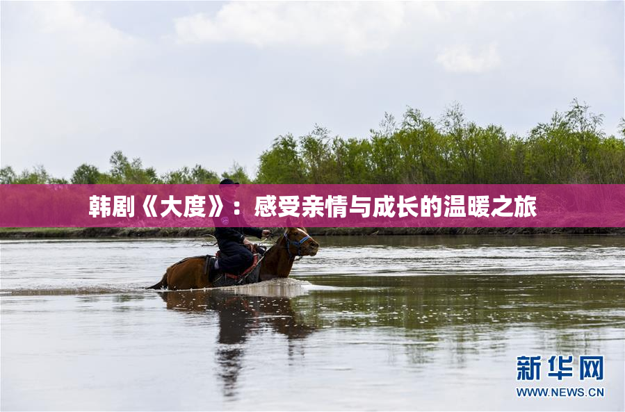 韩剧《大度》：感受亲情与成长的温暖之旅