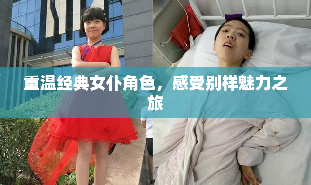 重温经典女仆角色，感受别样魅力之旅