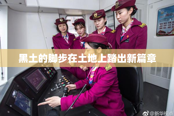 黑土的脚步在土地上踏出新篇章