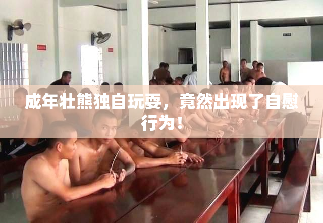成年壮熊独自玩耍，竟然出现了自慰行为！