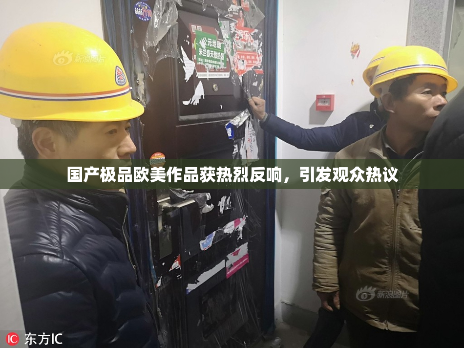 国产极品欧美作品获热烈反响，引发观众热议