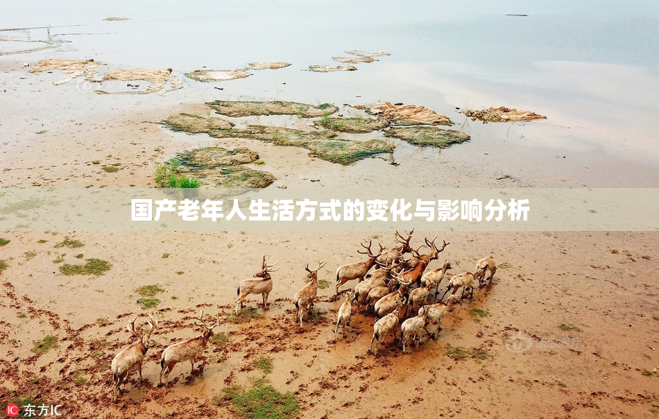 国产老年人生活方式的变化与影响分析
