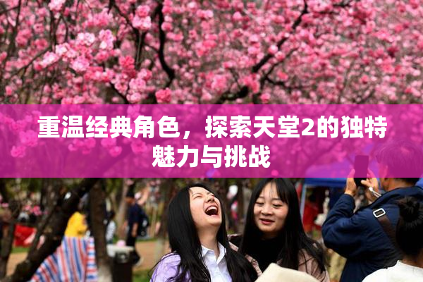 重温经典角色，探索天堂2的独特魅力与挑战