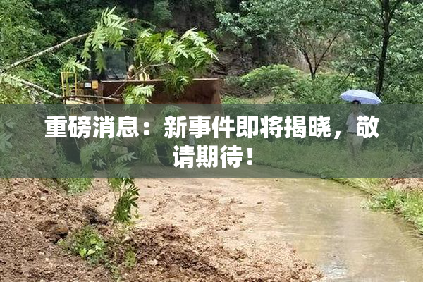 重磅消息：新事件即将揭晓，敬请期待！