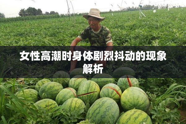 女性高潮时身体剧烈抖动的现象解析