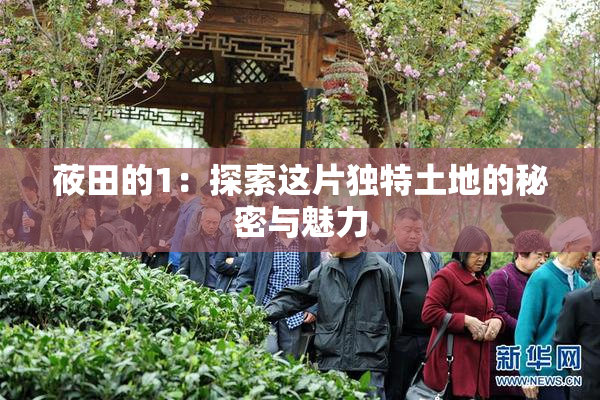 莜田的1：探索这片独特土地的秘密与魅力