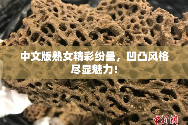 中文版熟女精彩纷呈，凹凸风格尽显魅力！