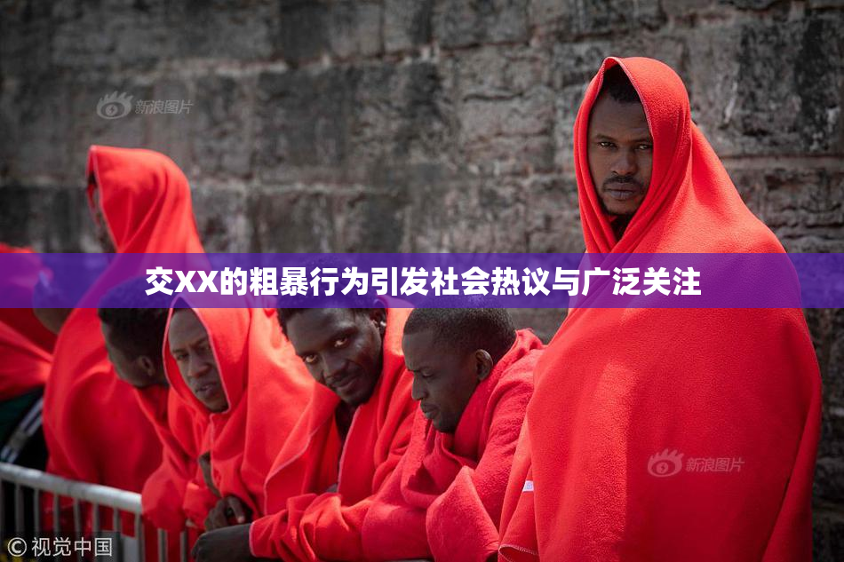 交XX的粗暴行为引发社会热议与广泛关注