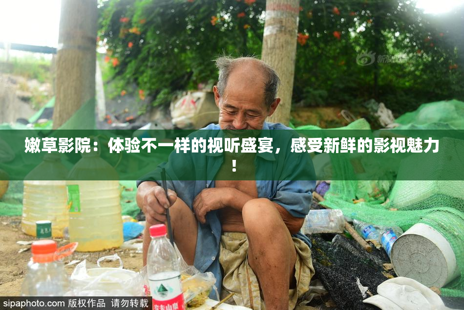 嫩草影院：体验不一样的视听盛宴，感受新鲜的影视魅力！