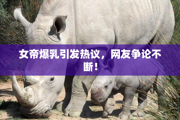 女帝爆乳引发热议，网友争论不断！