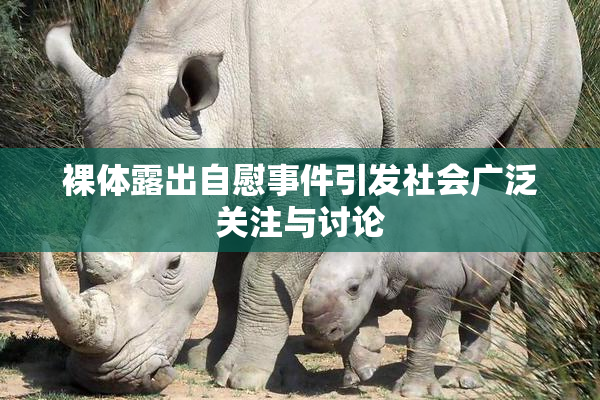 裸体露出自慰事件引发社会广泛关注与讨论