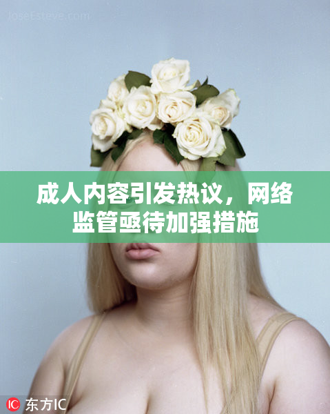 成人内容引发热议，网络监管亟待加强措施