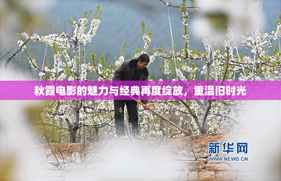 秋霞电影的魅力与经典再度绽放，重温旧时光