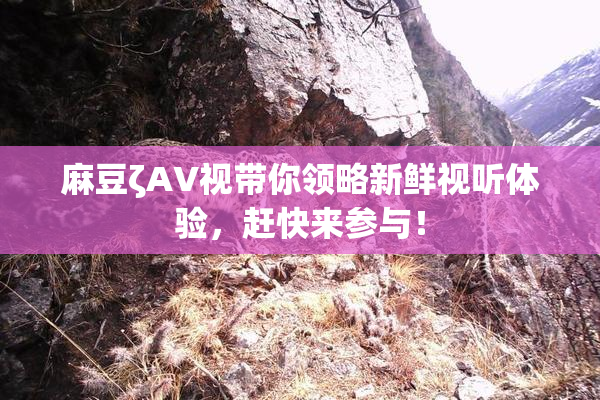 麻豆ζAV视带你领略新鲜视听体验，赶快来参与！