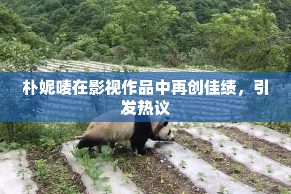 朴妮唛在影视作品中再创佳绩，引发热议