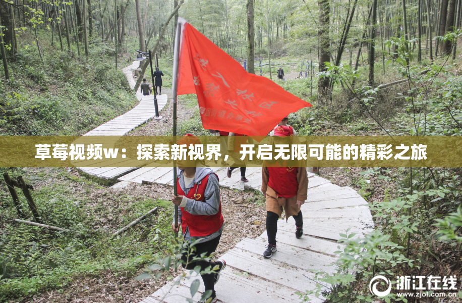 草莓视频w：探索新视界，开启无限可能的精彩之旅