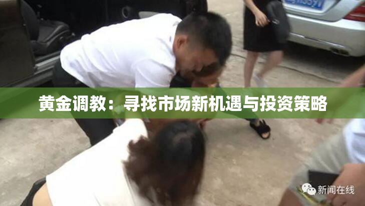 黄金调教：寻找市场新机遇与投资策略