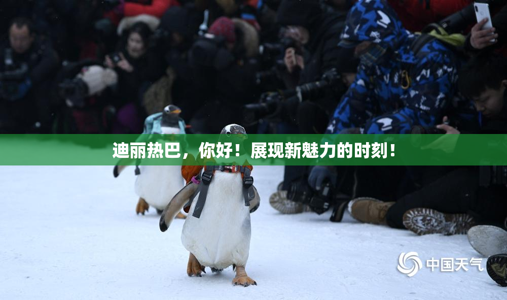 迪丽热巴，你好！展现新魅力的时刻！