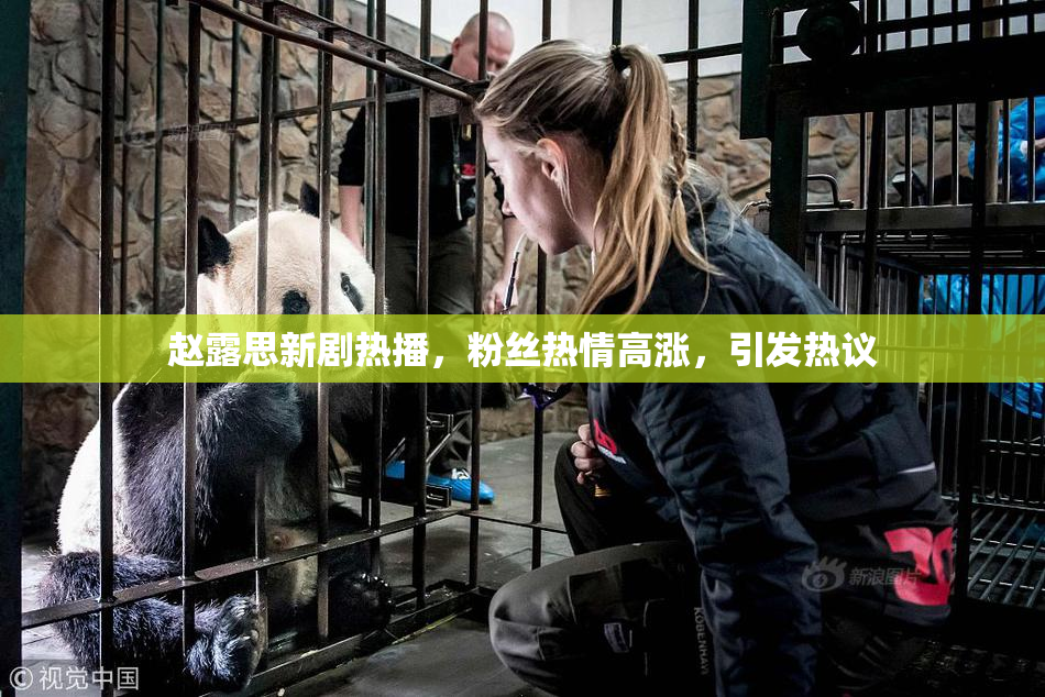 赵露思新剧热播，粉丝热情高涨，引发热议
