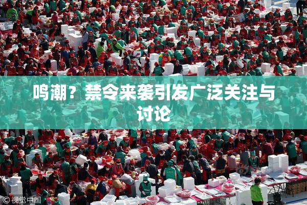 鸣潮？禁令来袭引发广泛关注与讨论