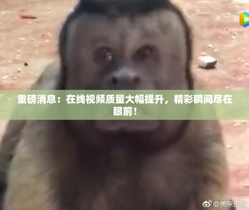 重磅消息：在线视频质量大幅提升，精彩瞬间尽在眼前！