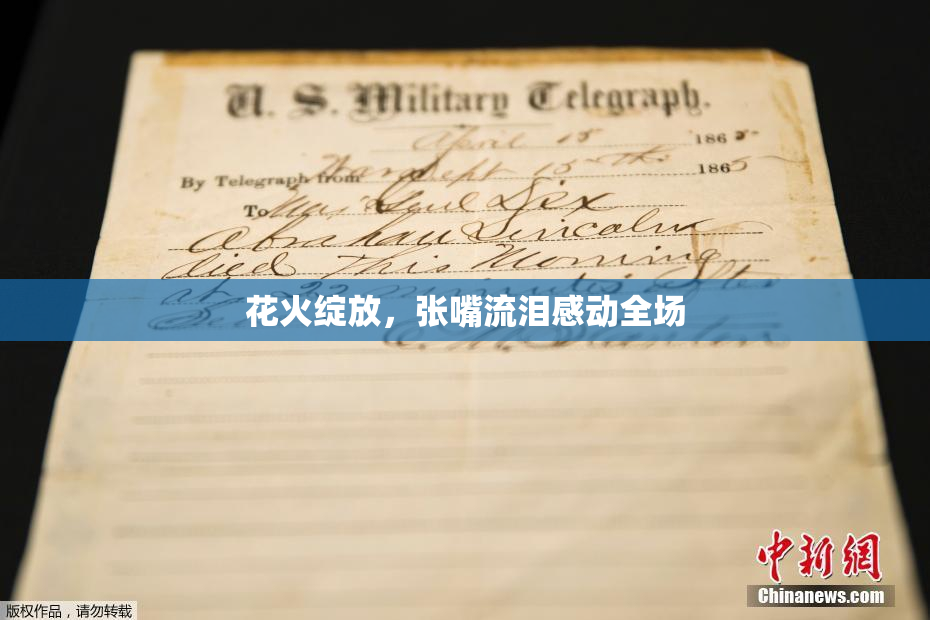 花火绽放，张嘴流泪感动全场