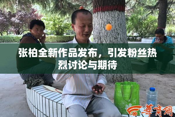 张柏全新作品发布，引发粉丝热烈讨论与期待