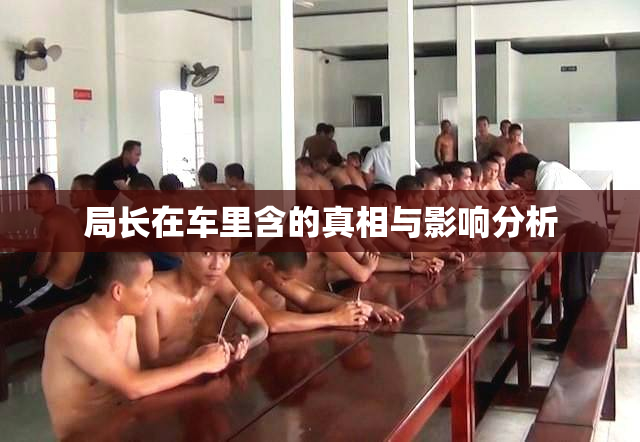 局长在车里含的真相与影响分析