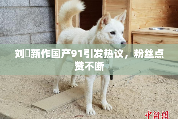 刘玥新作国产91引发热议，粉丝点赞不断